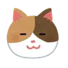 wakamiのプロフィール画像