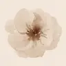 Profile picture of Aesthetic_Templates
